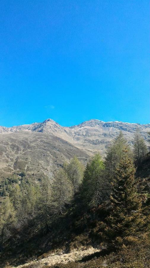 Balcone Sulle Dolomiti 2 Lägenhet Dosoledo Exteriör bild