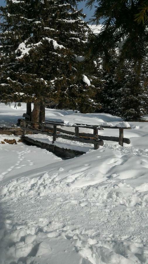 Balcone Sulle Dolomiti 2 Lägenhet Dosoledo Exteriör bild