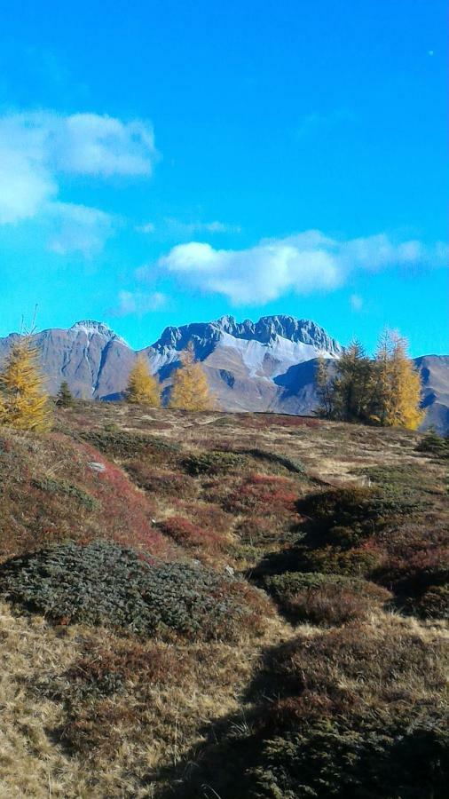 Balcone Sulle Dolomiti 2 Lägenhet Dosoledo Exteriör bild