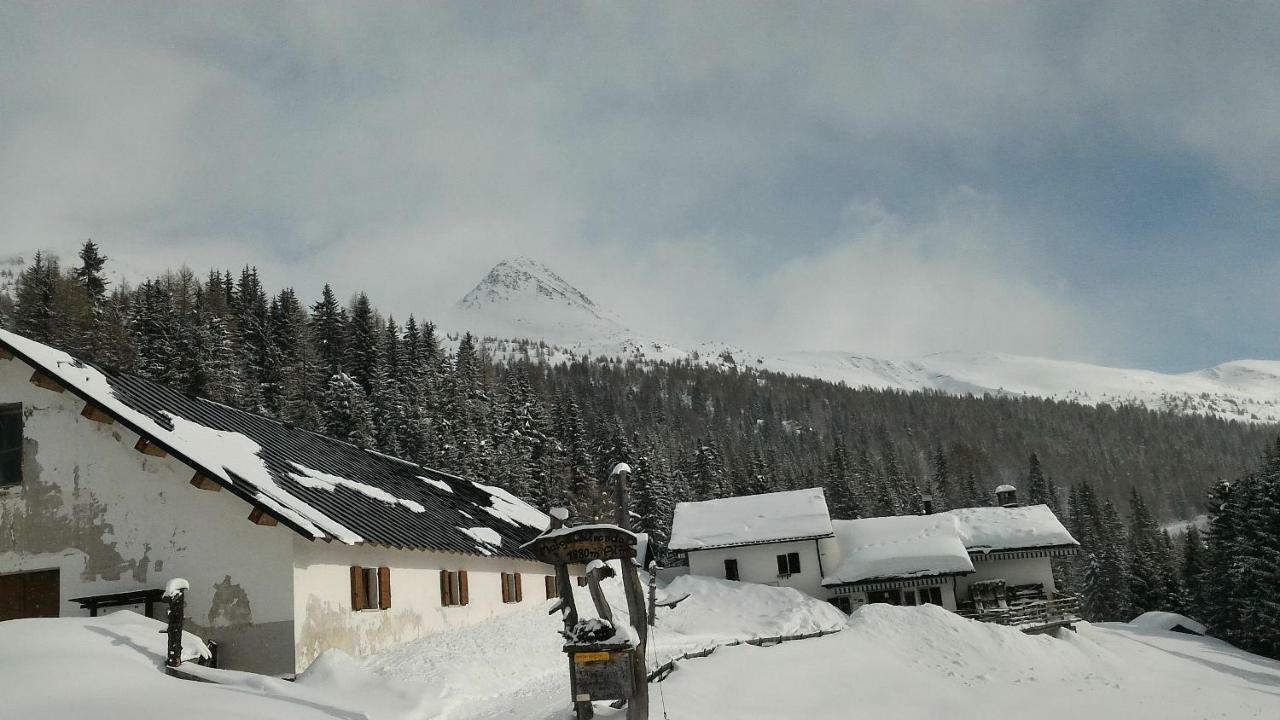 Balcone Sulle Dolomiti 2 Lägenhet Dosoledo Exteriör bild